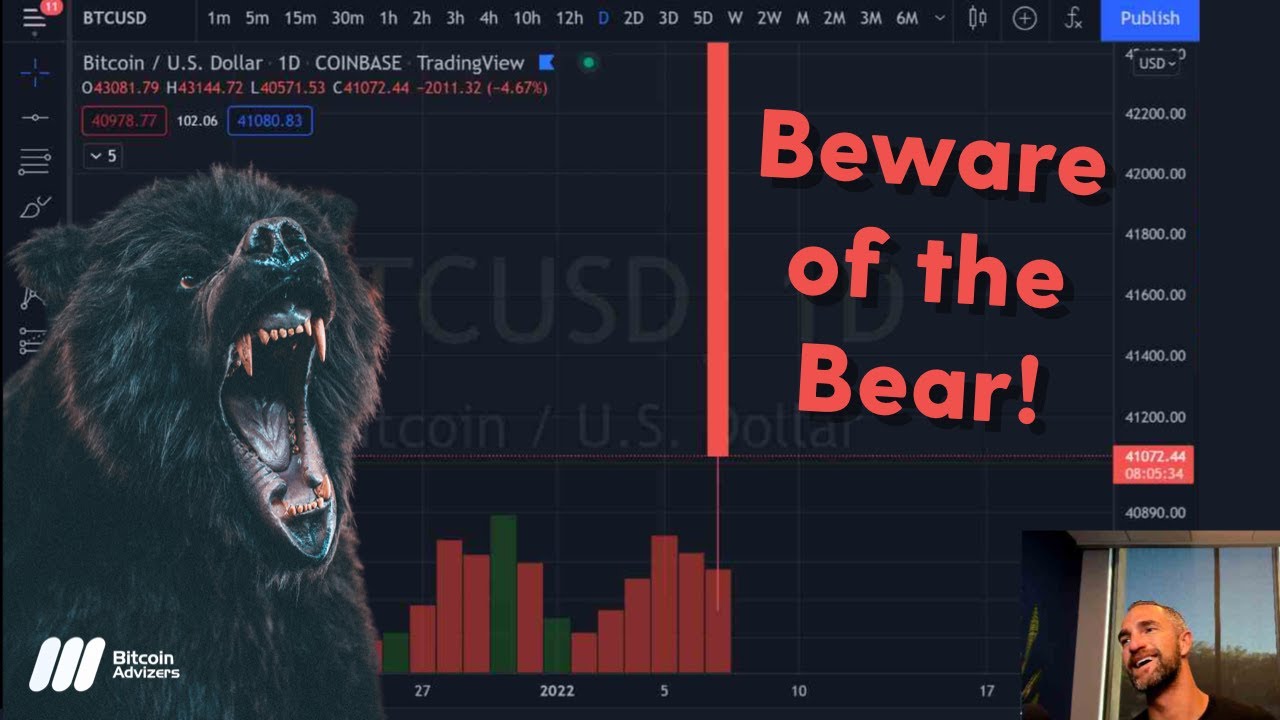 beware of the bear