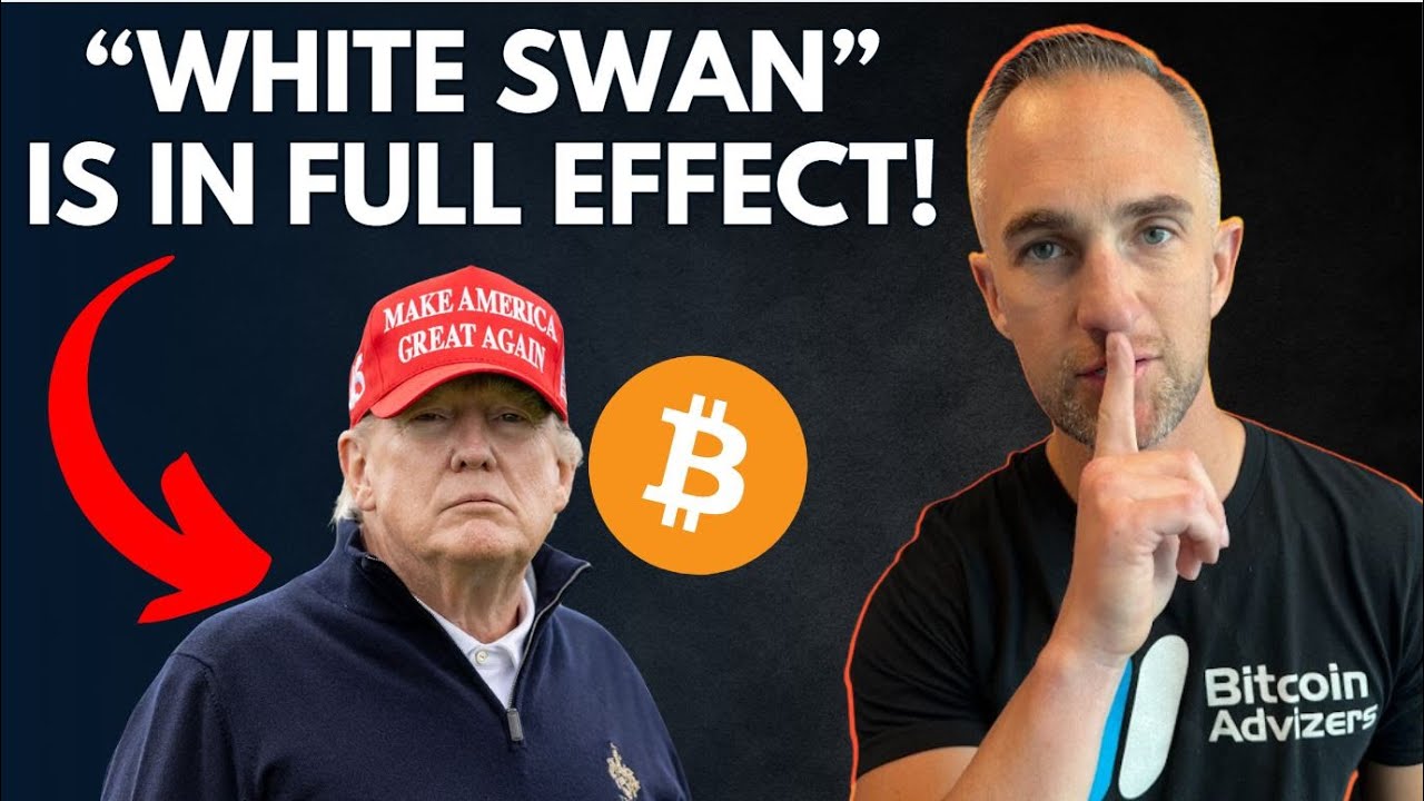 The Impact of Trump’s Assassination Attempt on Bitcoin – Is the White Swan Effect Real?