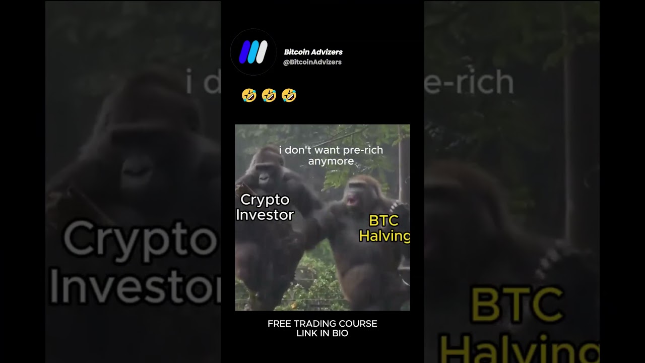 How it feels right now 🤣 #Bitcoin