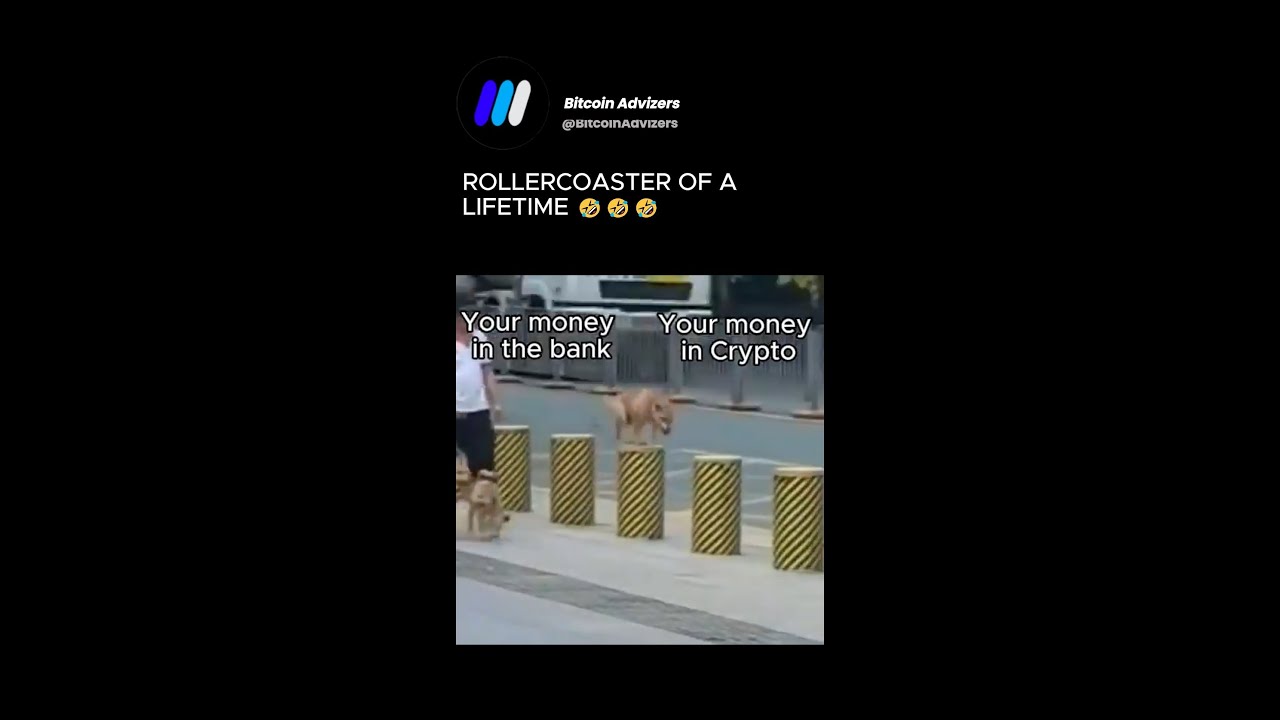 #Bitcoin this 2024 🤣