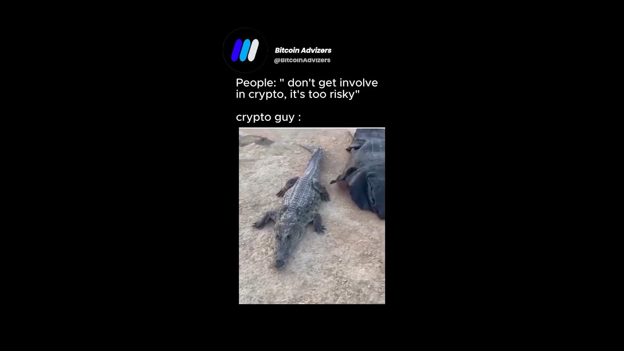 Degen Crypto traders don’t know risk 🤣